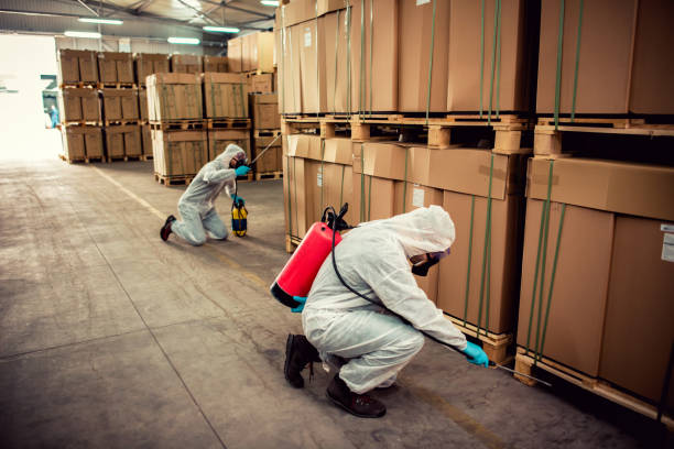 Best Affordable Pest Control Services  in Inglenook, CT