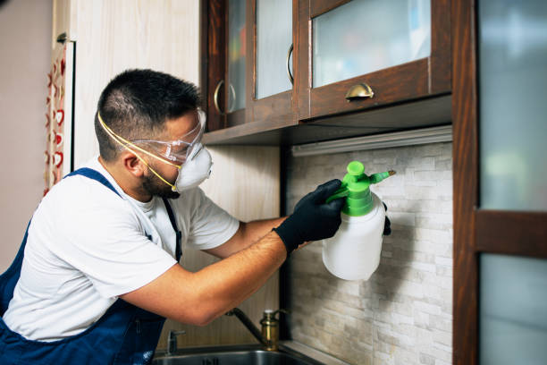 Best Affordable Pest Control Services  in Inglenook, CT